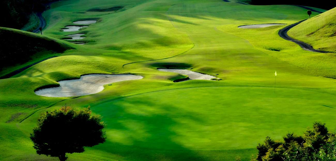 Out Course 7hole 写真