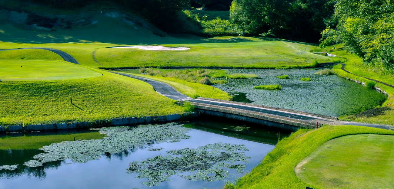 Out Course 8hole 写真