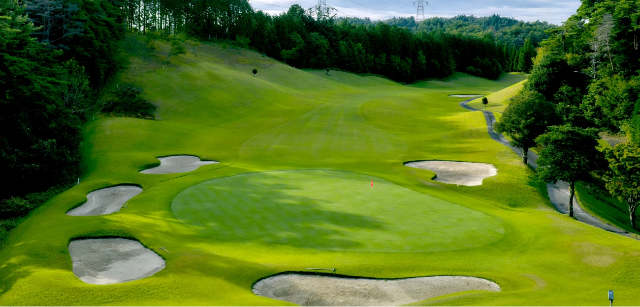 Out Course 12hole 写真